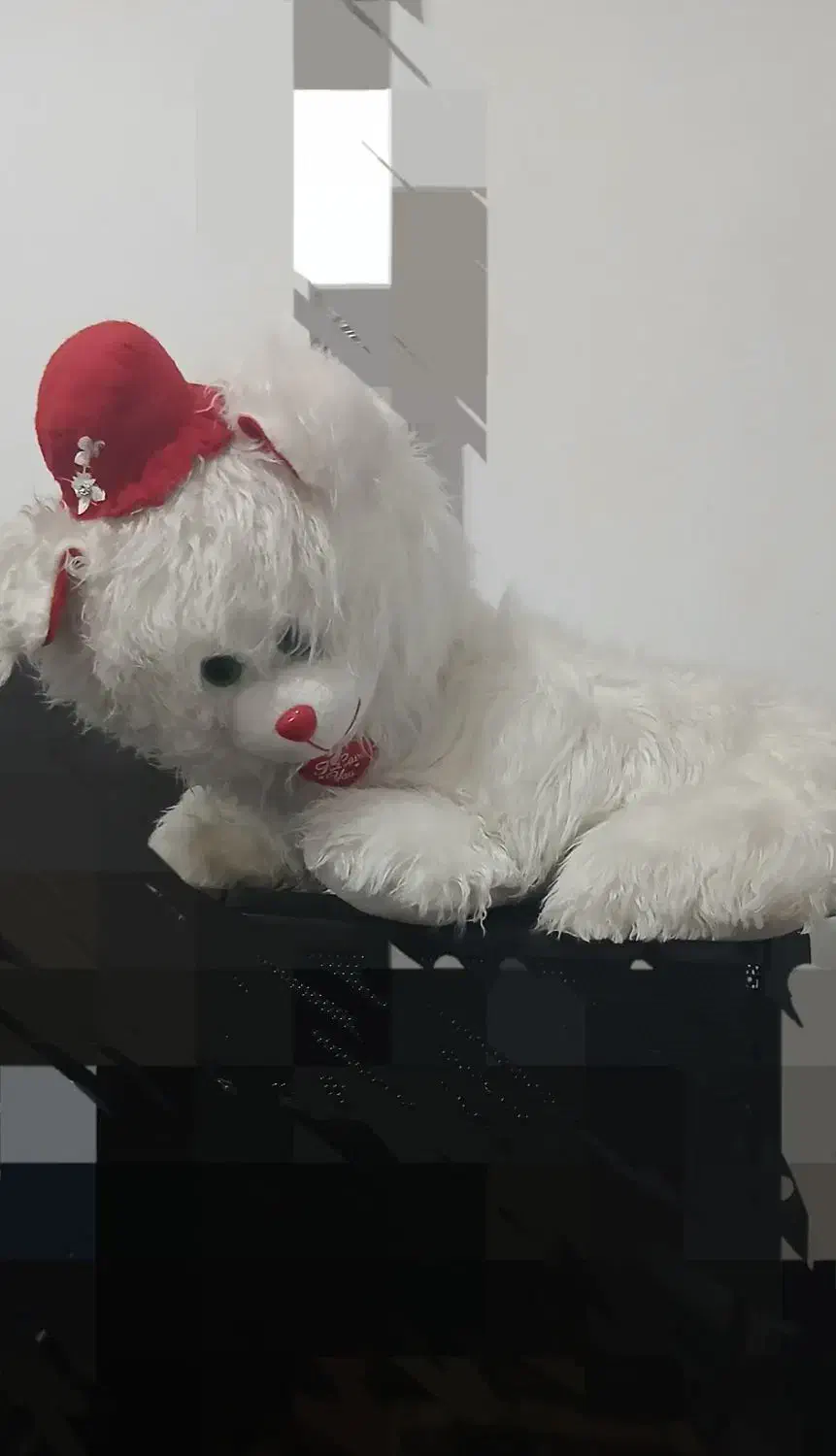 خرش بزرگ ۸۰۰ تومن|اسباب‌بازی بچه|خرم‌آباد, |دیوار