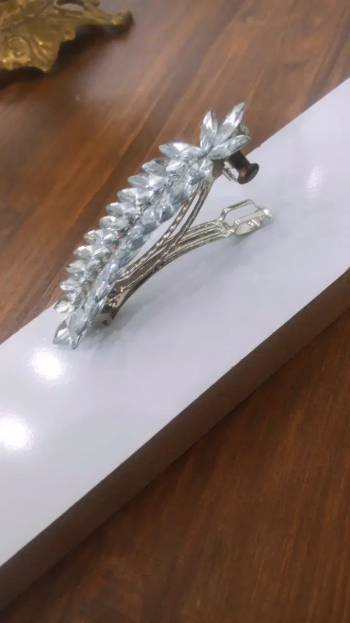 گیره موی سر|زیورآلات و اکسسوری|پارسآباد, |دیوار