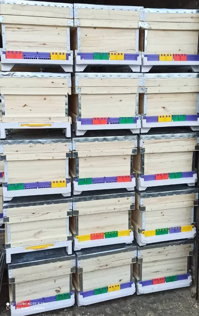 جعبه کندو،طبق،قاب|عمده‌فروشی|خرم‌آباد, |دیوار