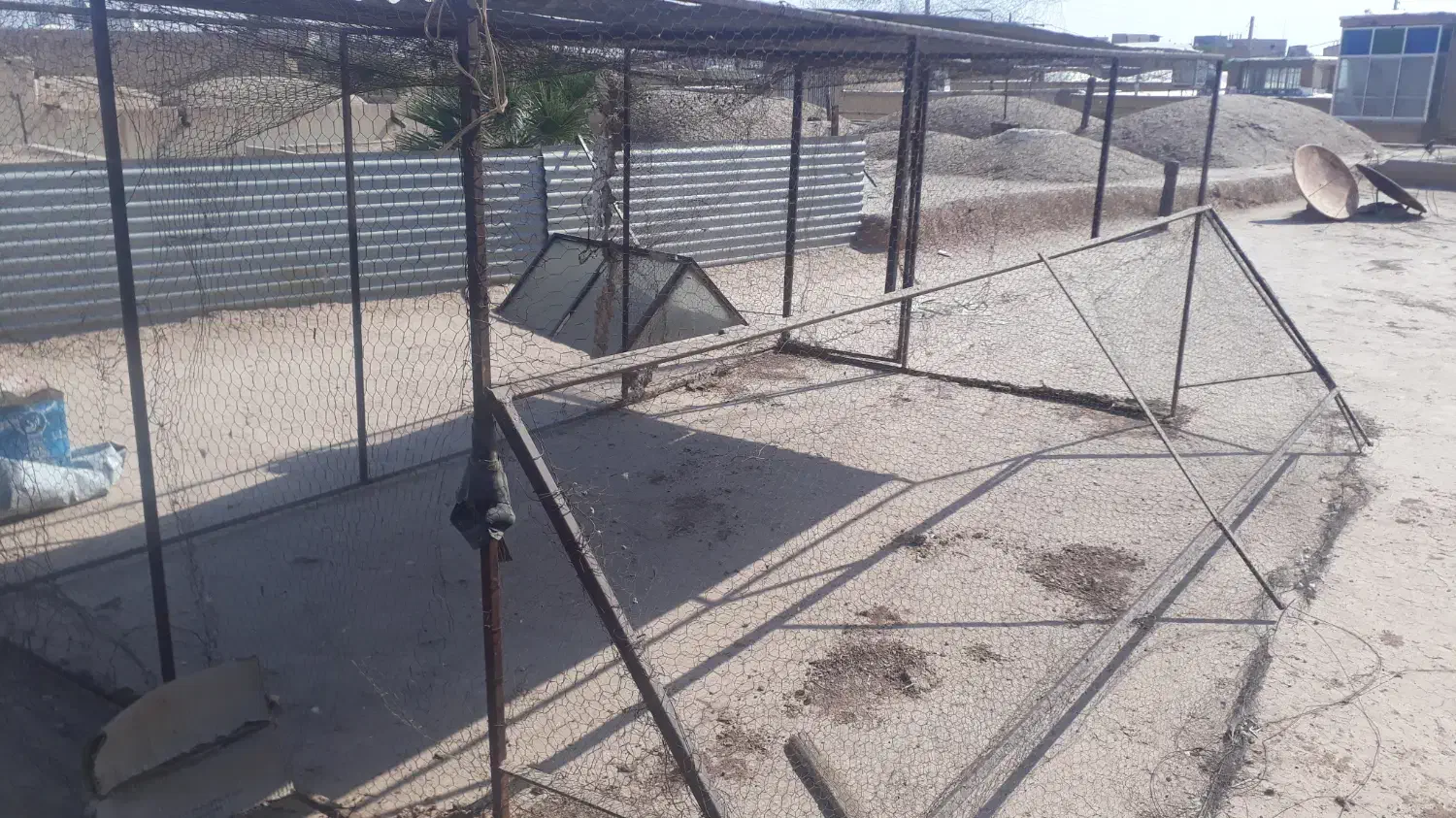 توردام|لوازم جانبی حیوانات|رفسنجان, |دیوار