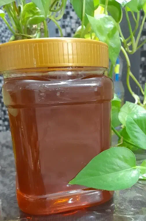 عسل طبیعی درمانی با برگه آزمایش( ۱کیلو )|خوردنی و آشامیدنی|قم, شهر قائم|دیوار