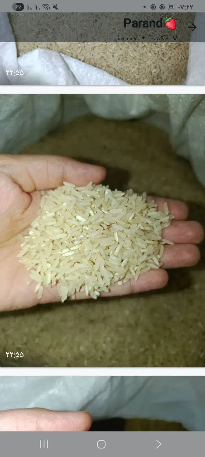 برنج تارم هاشمی تازه برداشت بهترین پخت با ماش ریز|حراج|دهدشت, |دیوار