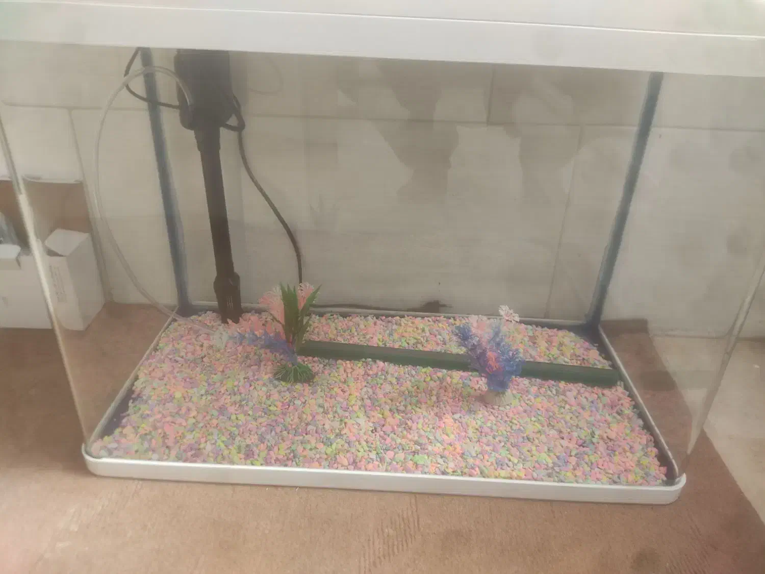 آکواریوم شیشه خم شرکتی در حد نو با تمام وسایل|ماهی|حمیدیا, |دیوار