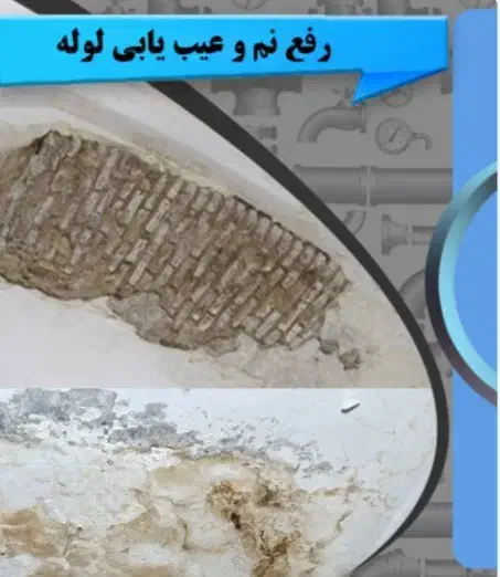 تشخیص ترکیدگی لوله با دستگاه اسکنر تصویری|خدمات پیشه و مهارت|تهران, بلوار کشاورز|دیوار