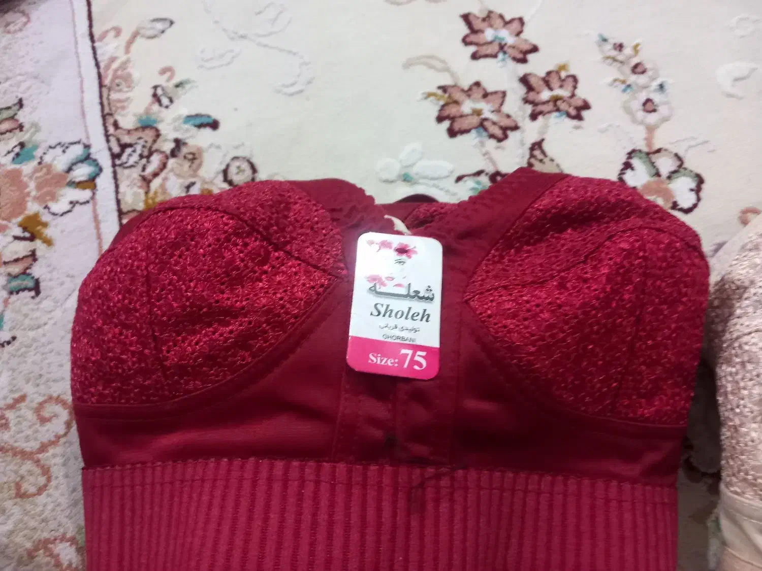 سوتین|لباس|اردبیل, |دیوار