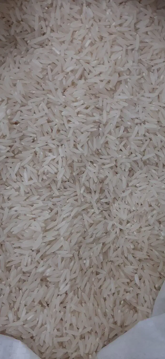 فروشگاه برنج محلی وشالی دمسیاه و فجر و غیره|عمده‌فروشی|آزادشهر, |دیوار