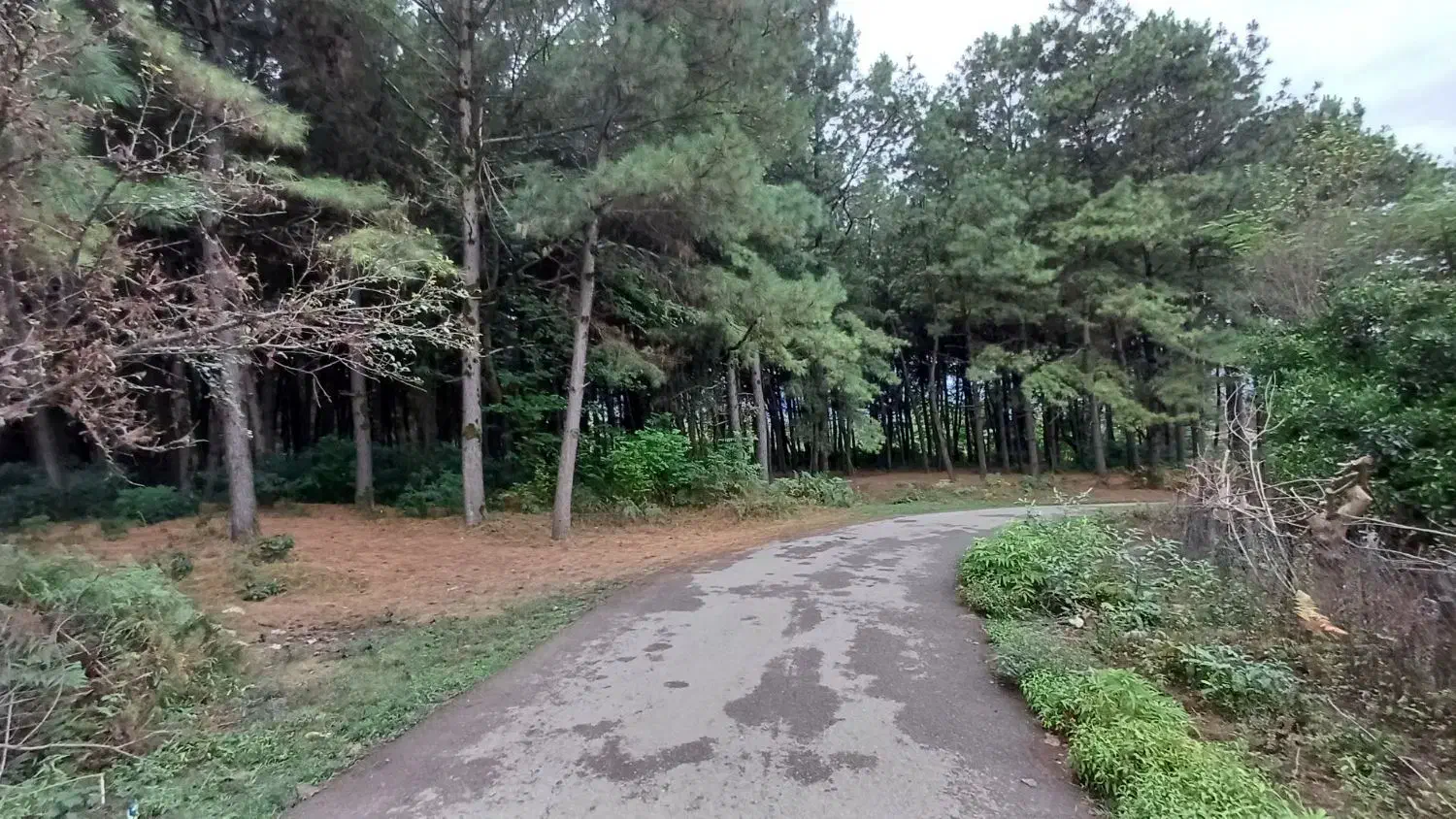 اجاره روزانه/هفتگی/ماهانه ویلا ۱۲۰ متری|اجارهٔ کوتاهمدت ویلا و باغ|ماسال, |دیوار