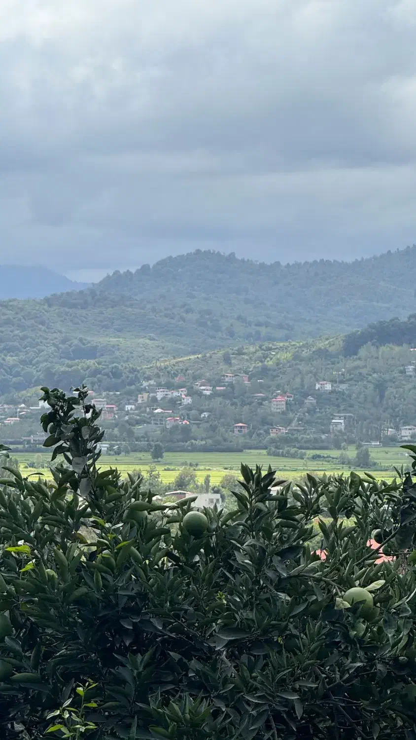 500 متر زمین بافت ویو ابدی در بابلکنار|فروش زمین و ملک کلنگی|شیرگاه, |دیوار