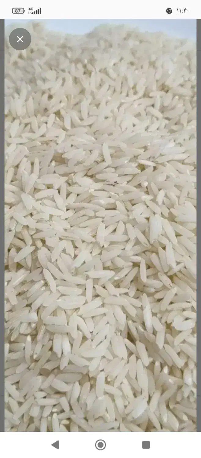 برنج طارم درجه یک|خوردنی و آشامیدنی|ایلام, |دیوار