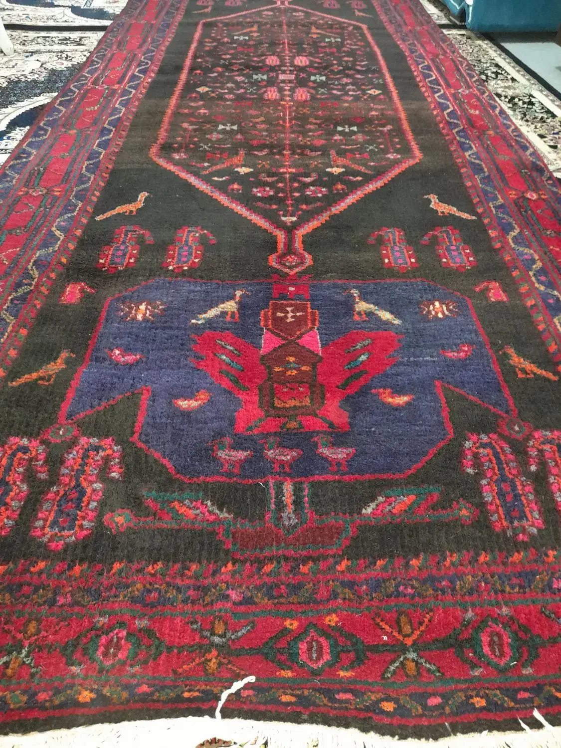 فرش طبیعی|فرش|میاندوآب, |دیوار