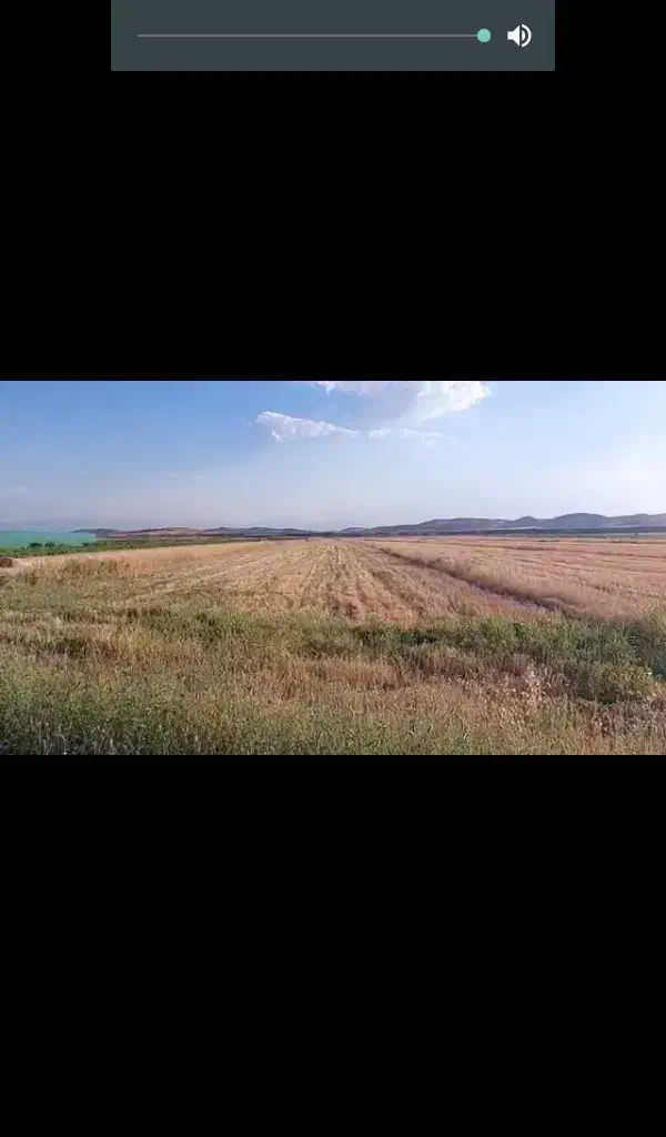 زمین کشاورزی|فروش دفتر صنعتی، کشاورزی، تجاری|سپیدان, |دیوار