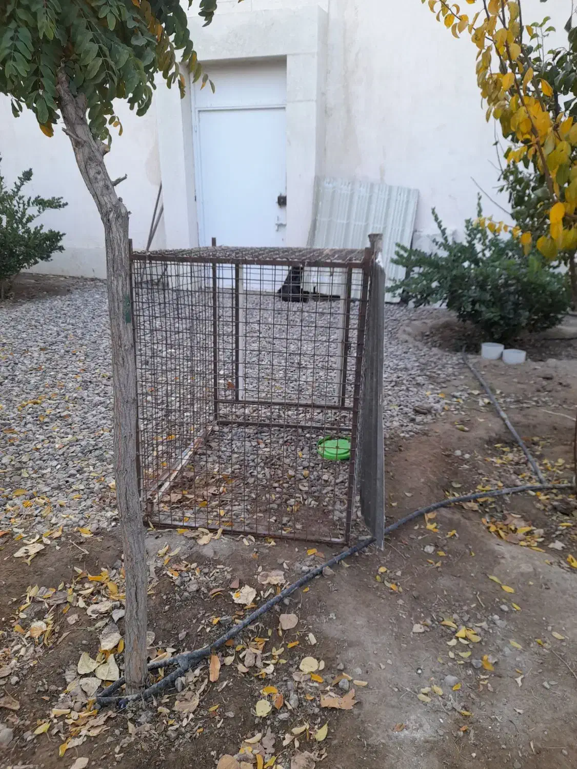 قفس اهنی|لوازم جانبی حیوانات|گلبهار, شهر جدید گلبهار|دیوار