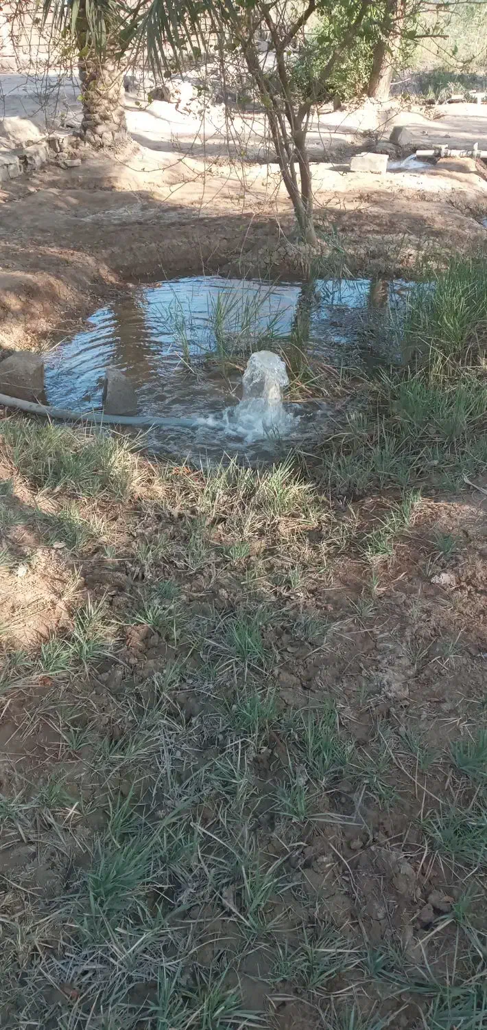 زمین کشاورزی مسکونی|فروش دفتر صنعتی، کشاورزی، تجاری|آبادان, |دیوار