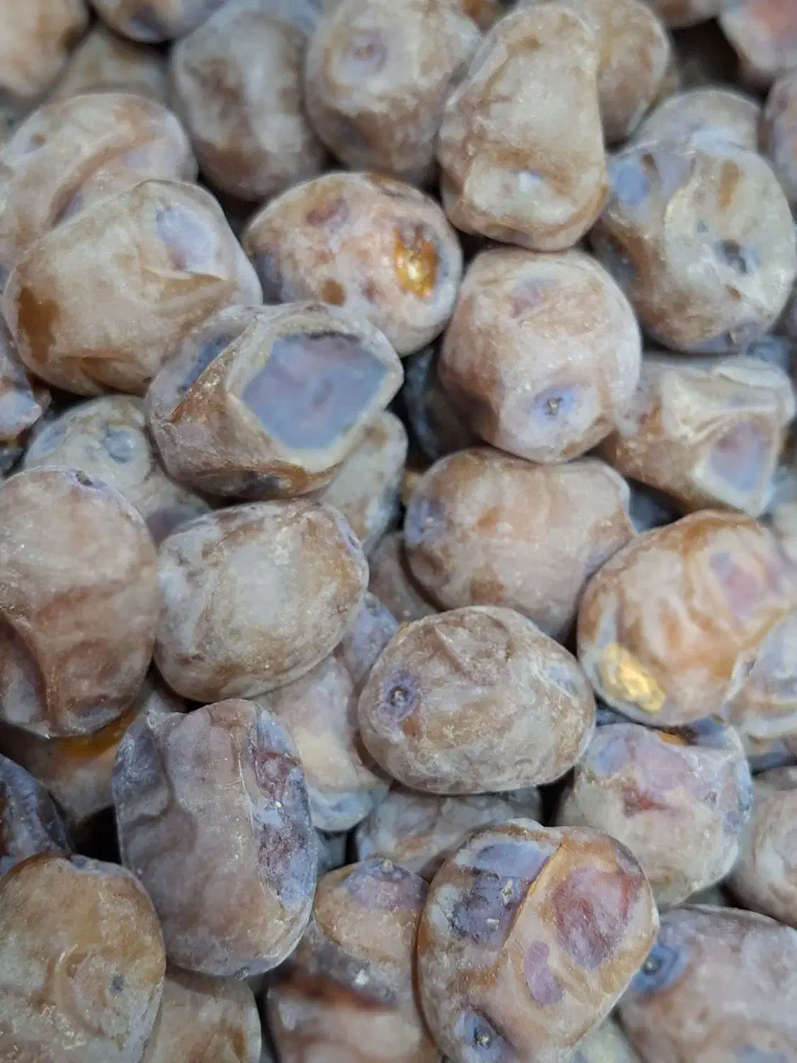 خرما برحی|خوردنی و آشامیدنی|اهواز, بهارستان|دیوار