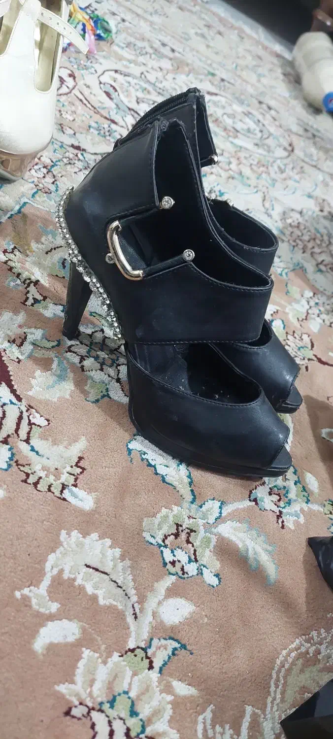 کیف و کفش|کیف، کفش، کمربند|قائمشهر, |دیوار