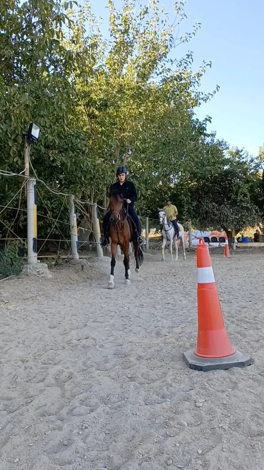 دوره آموزش سوارکاری اصولی از مبتدی تا پیشرفته|خدمات آموزشی|سنندج, |دیوار