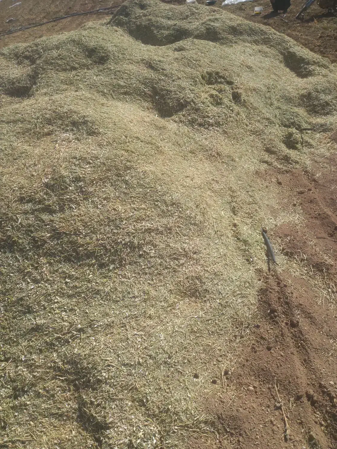 فروش عمده کاه لوبیا،کاه گندم خرمن کوب، یونجه|حیوانات مزرعه|شیروان (خراسان), |دیوار