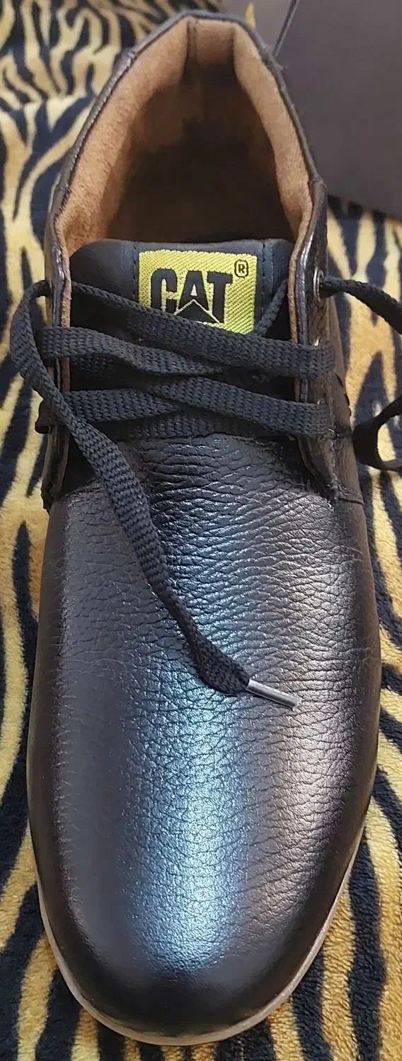 کفش خارجی مارک cat|کیف، کفش، کمربند|اصفهان, شاهزید|دیوار
