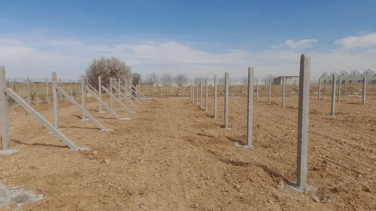 فنس کشی|خدمات باغبانی و درختکاری|تاکستان, |دیوار