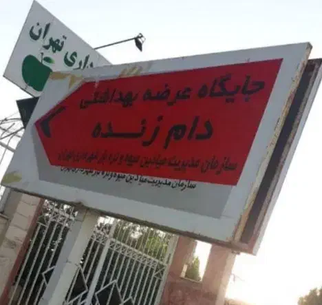 جایگاه عرضه گوسفند زنده شهرداری تمام نقاط تهران|حیوانات مزرعه|تهران, شهران شمالی|دیوار