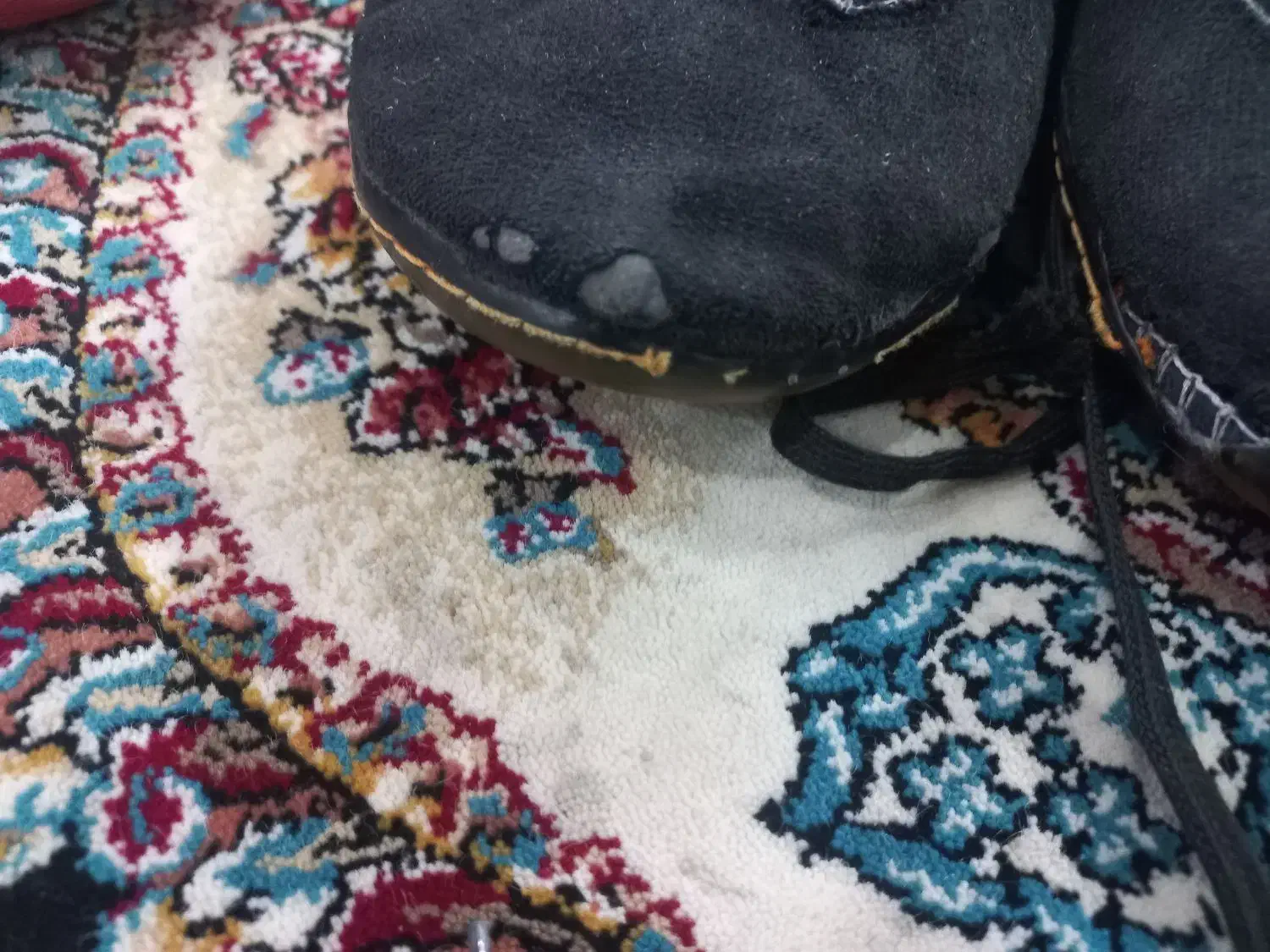 دو جفت کفش کشتی|تجهیزات ورزشی|اصفهان, ناصرخسرو|دیوار