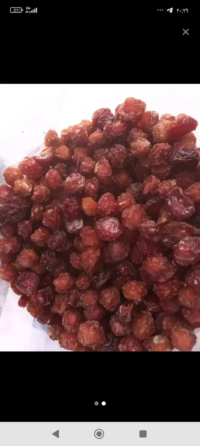 آلوچه|خوردنی و آشامیدنی|مرند, |دیوار