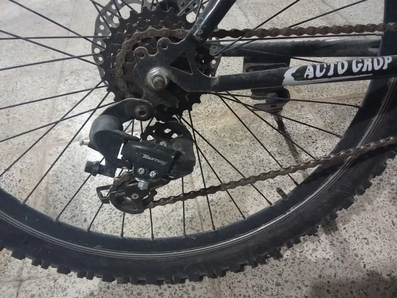 دوچرخه ویوا ۲۶|دوچرخه، اسکیت، اسکوتر|پلدختر, |دیوار