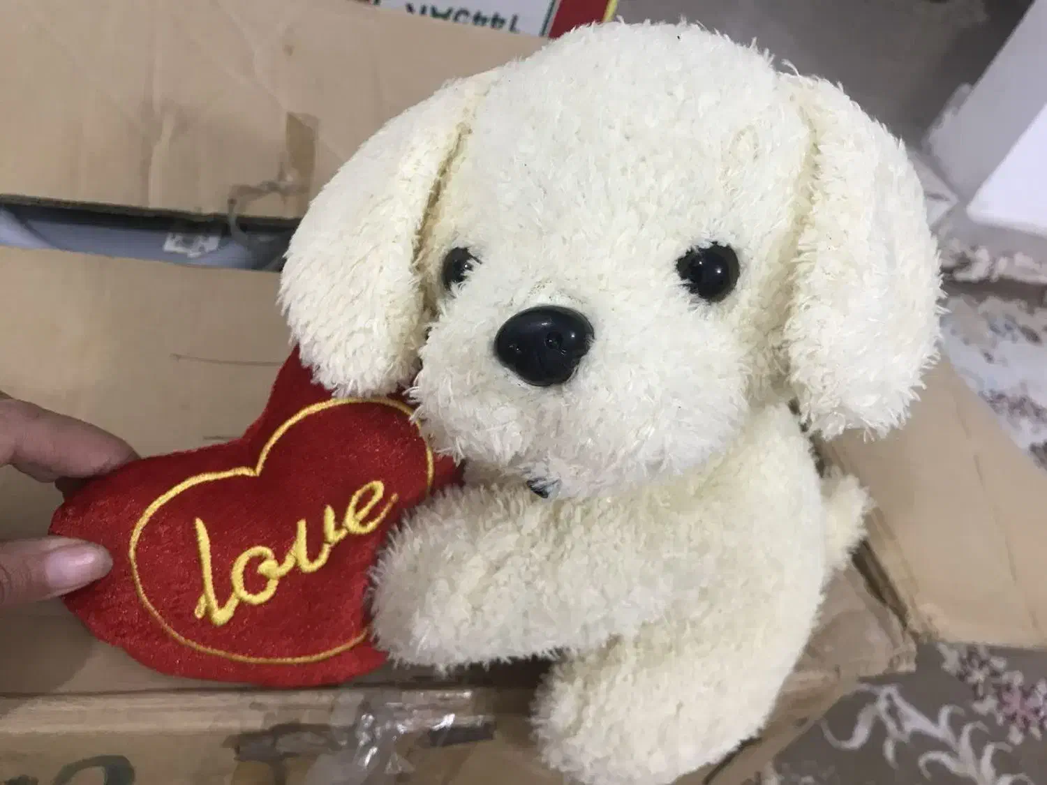 عروسک|اسباببازی|بروجرد, |دیوار