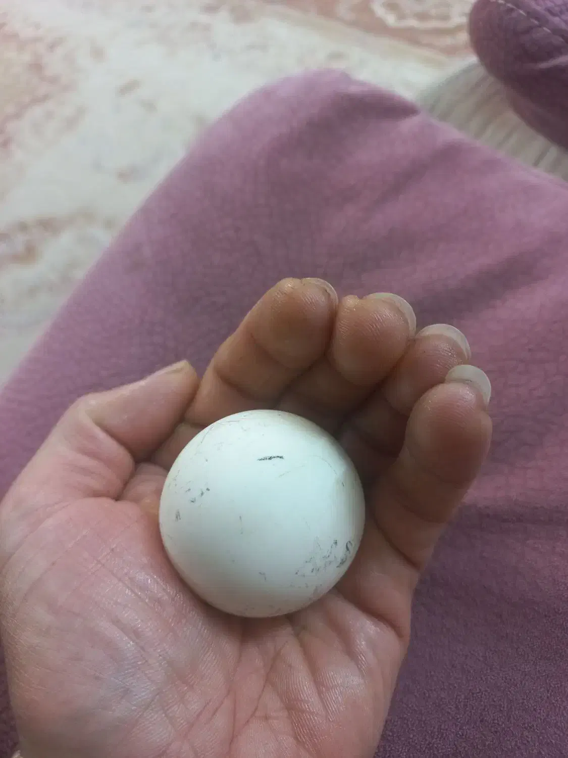 سنگ اسیاب|کلکسیون اشیاء عتیقه|مشهد, بهمن|دیوار