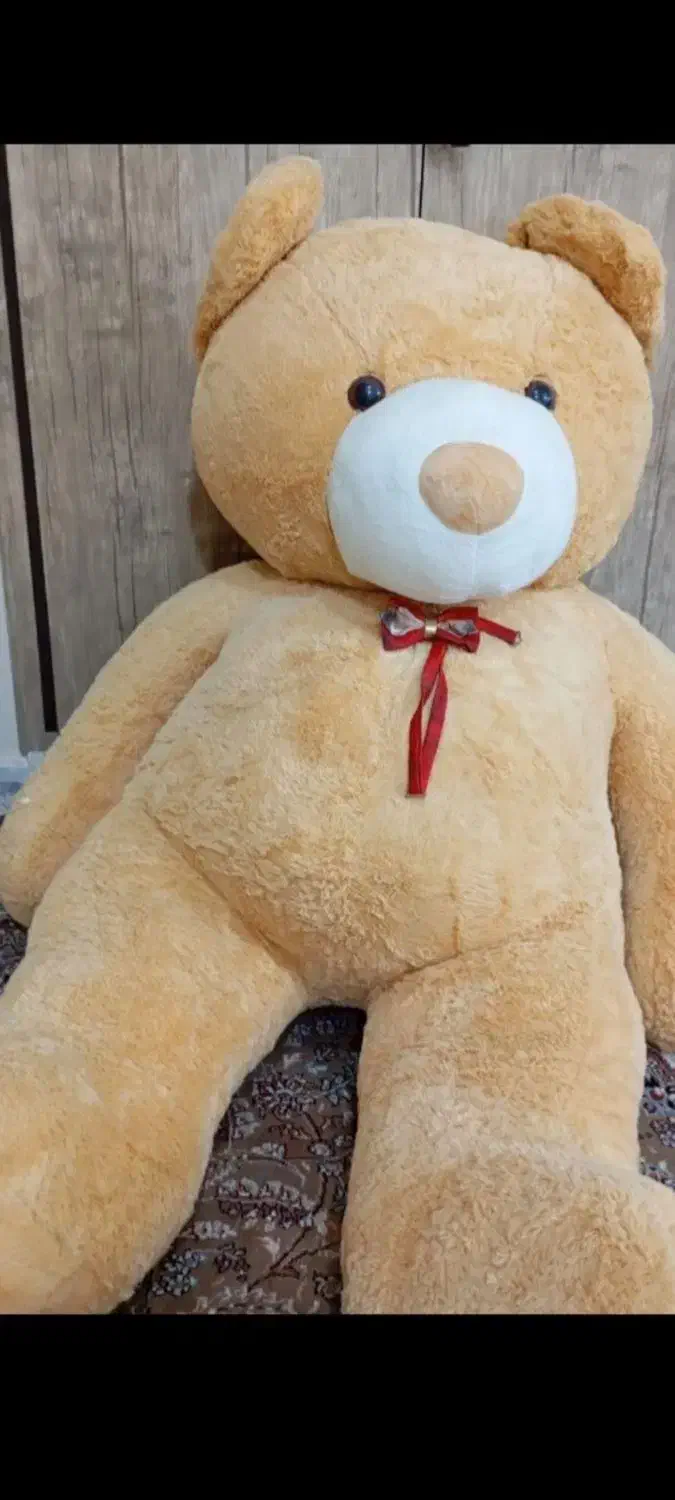 عروسک خرسی|اسباببازی|یاسوج, |دیوار