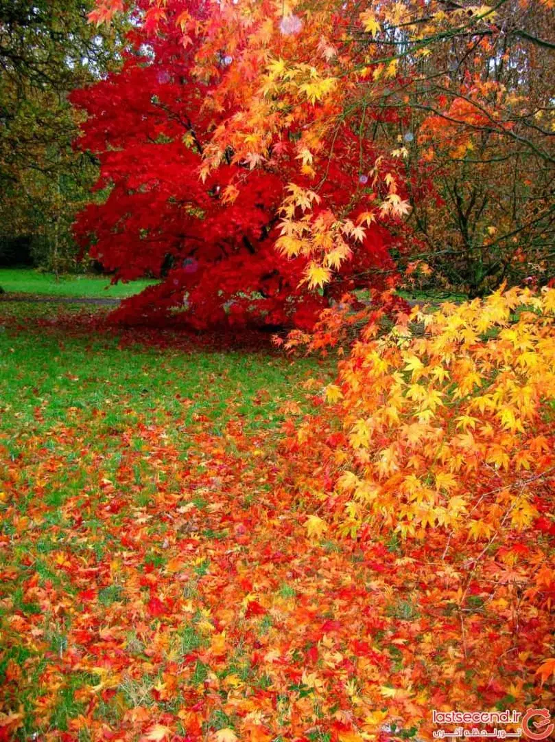 استخدام پارکبان|استخدام خدمات فروشگاه و رستوران|سیرجان, |دیوار