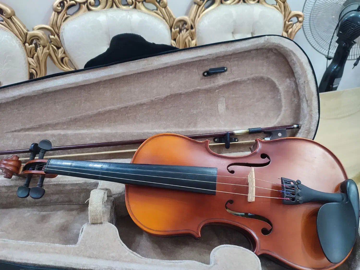 ویلون ویالون tf student تی اف استیودنت|ویولن|مشهد, انقلاب|دیوار