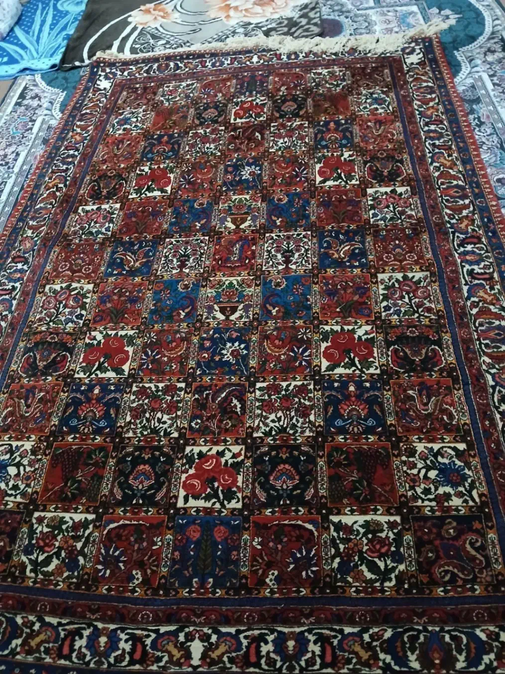 قالی چالشتری|فرش|شهرکرد, |دیوار