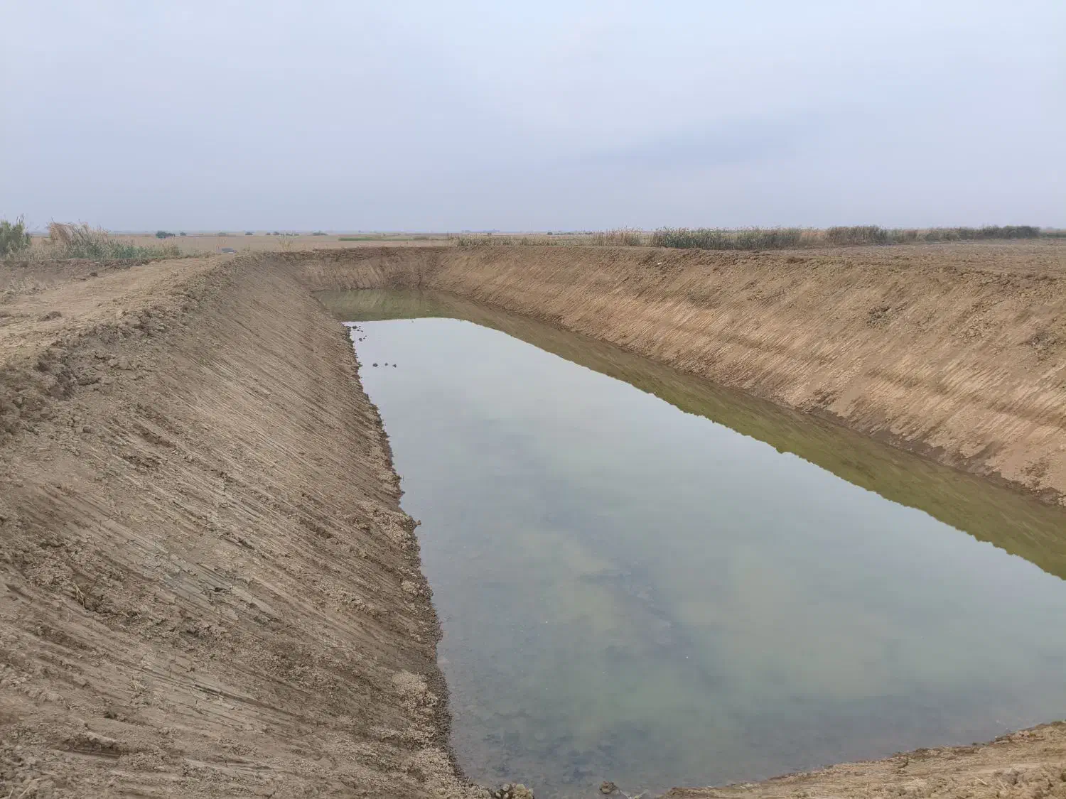 اجاره بیل مکانیکی کوماتسو خط 7|خدمات حمل و نقل|گنبد کاووس, |دیوار