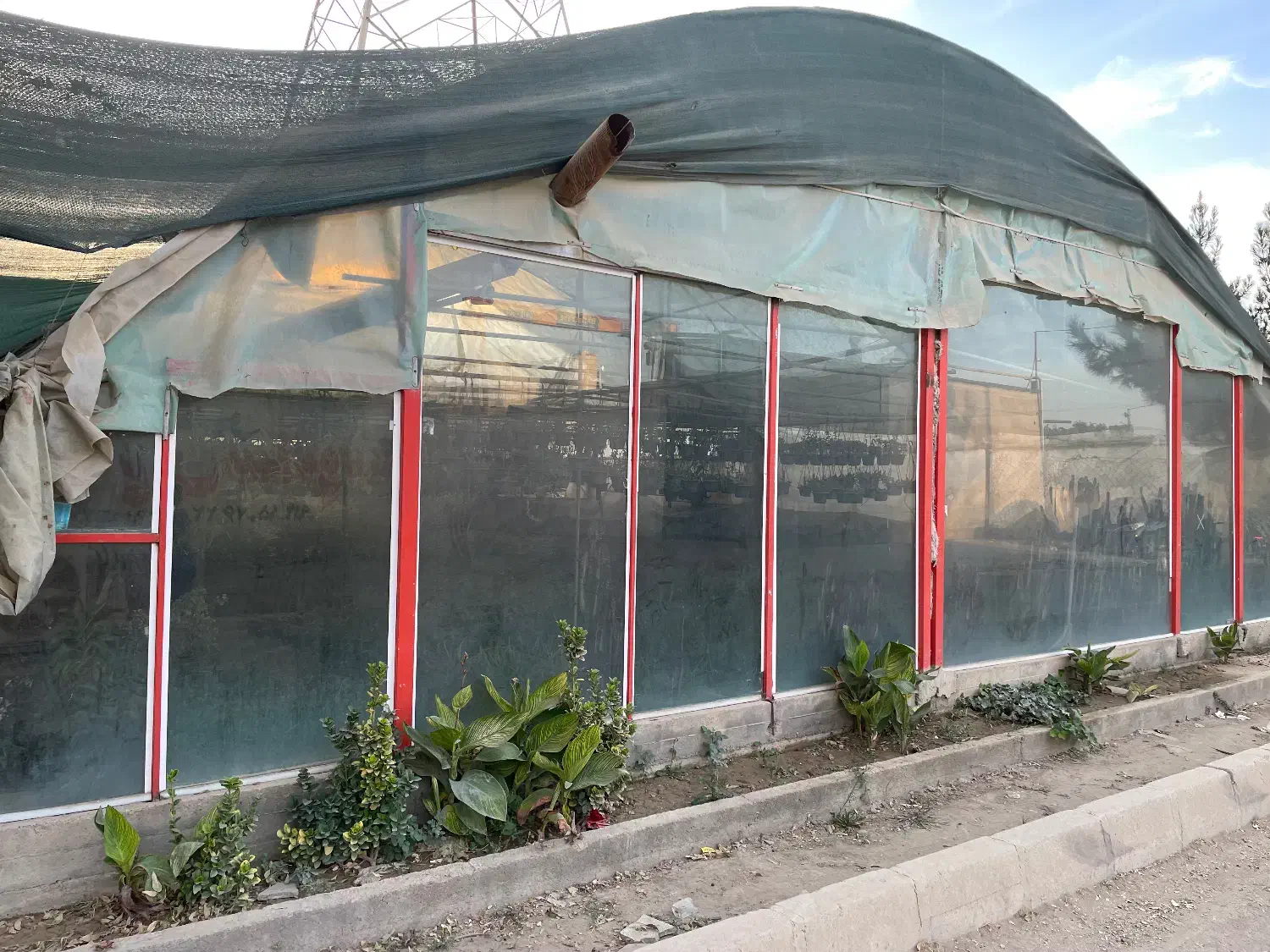 گلخانه|اجارهٔ دفتر صنعتی، کشاورزی، تجاری|تهران, سازمان آب|دیوار