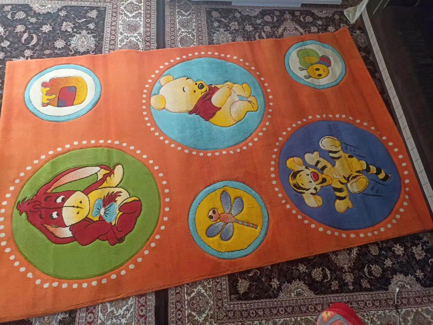 گلیم فرش|گلیم، جاجیم، گبه|بندرعباس, |دیوار