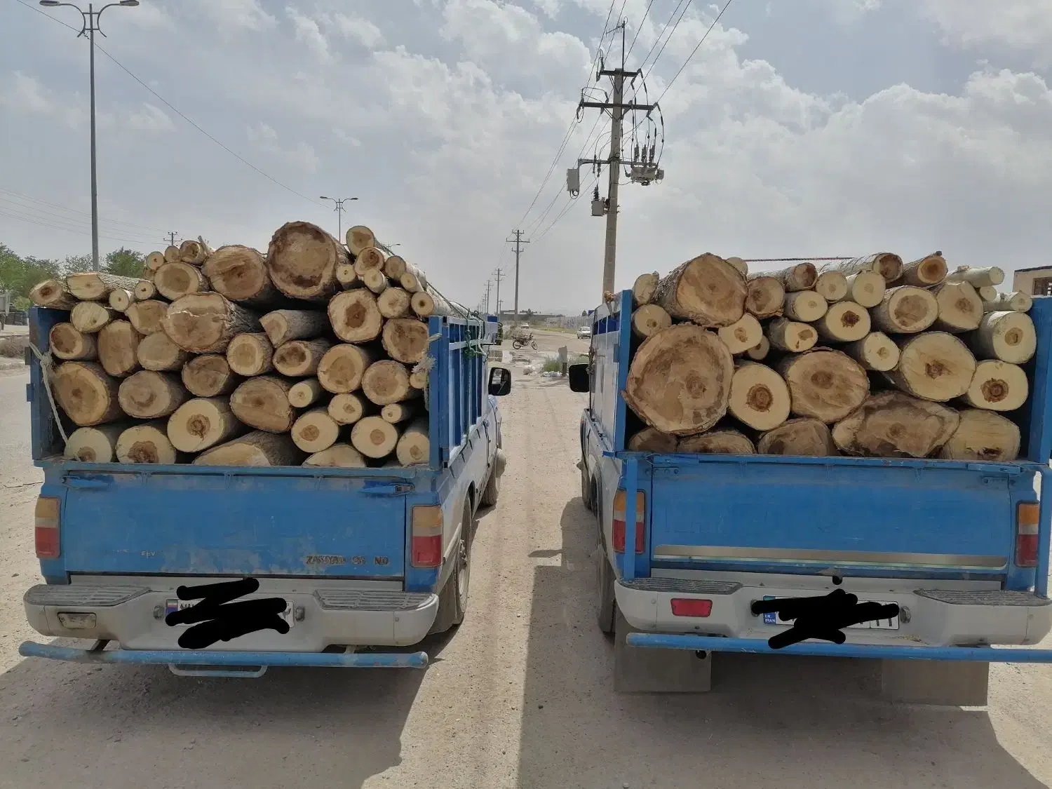 خرید چوب|خدمات باغبانی و درختکاری|گلبهار, شهر جدید گلبهار|دیوار