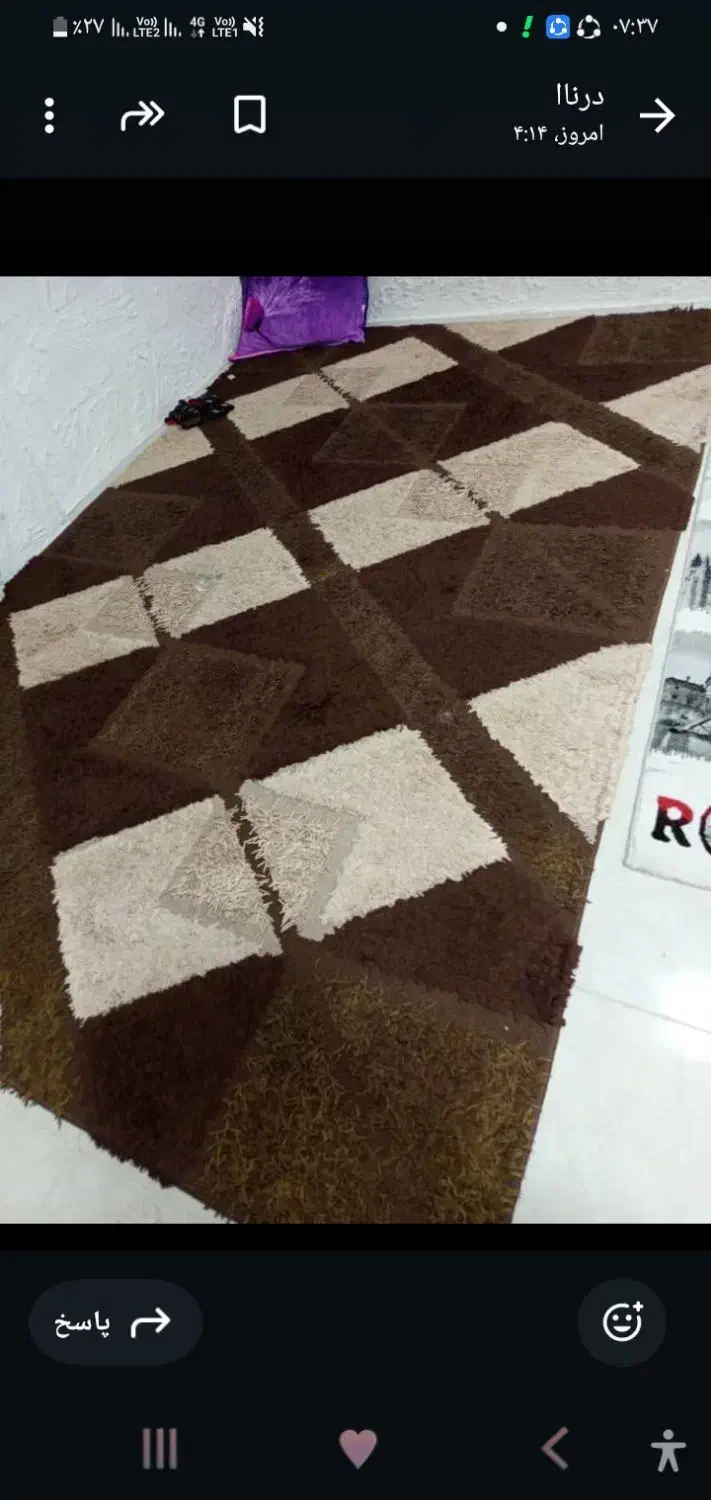 فرش 6متری|فرش|صدرا-فارس, فاز ۱|دیوار