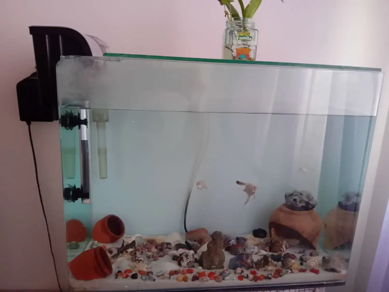 اکواریوم شیشه خم قوی فوری|ماهی|پرند, فاز ۶|دیوار