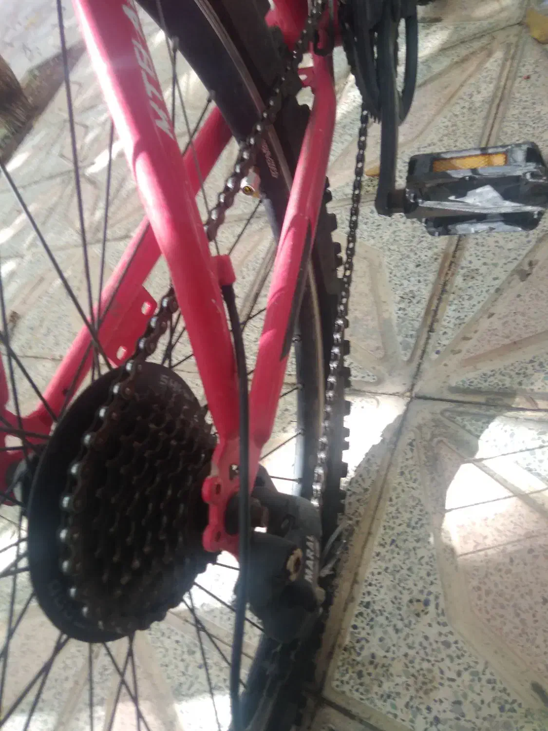 دوچرخه‌سواری 26|دوچرخه، اسکیت، اسکوتر|داراب, |دیوار