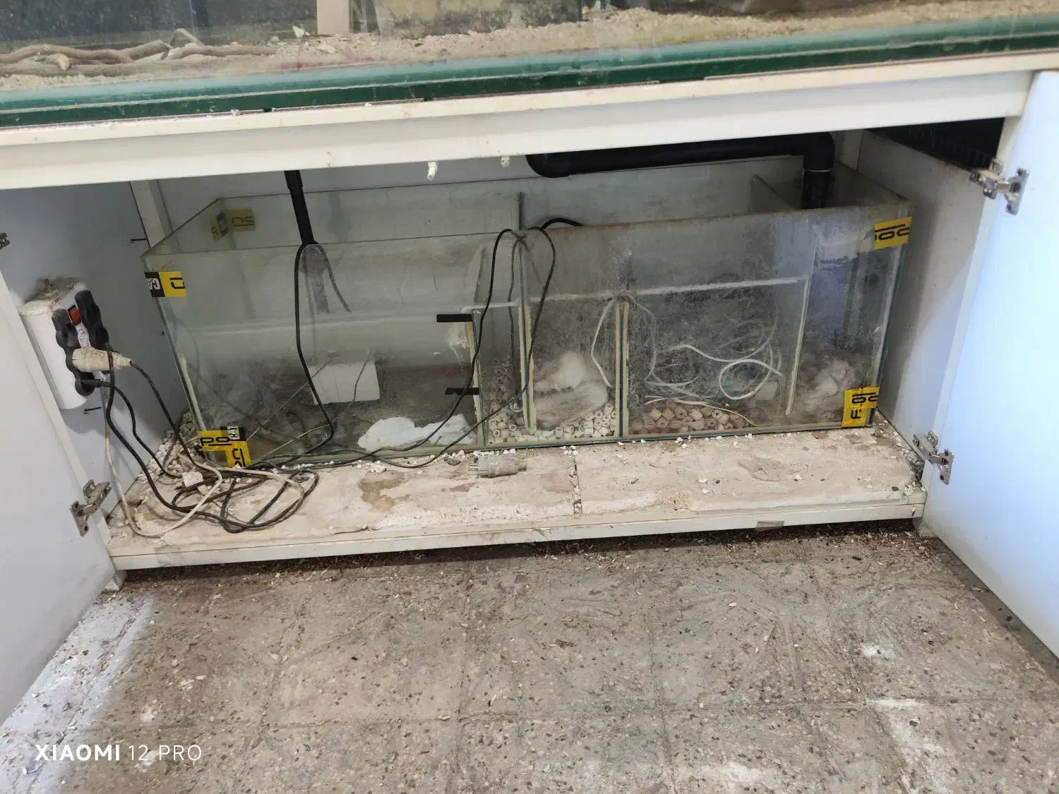 اکواریوم اب شیرین و شور|ماهی|تهران, صاحب الزمان|دیوار