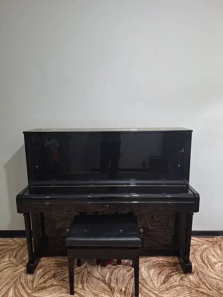 پیانو اکوستیک پتروف|پیانو، کیبورد، آکاردئون|کرج, فاز ۳ گوهردشت|دیوار