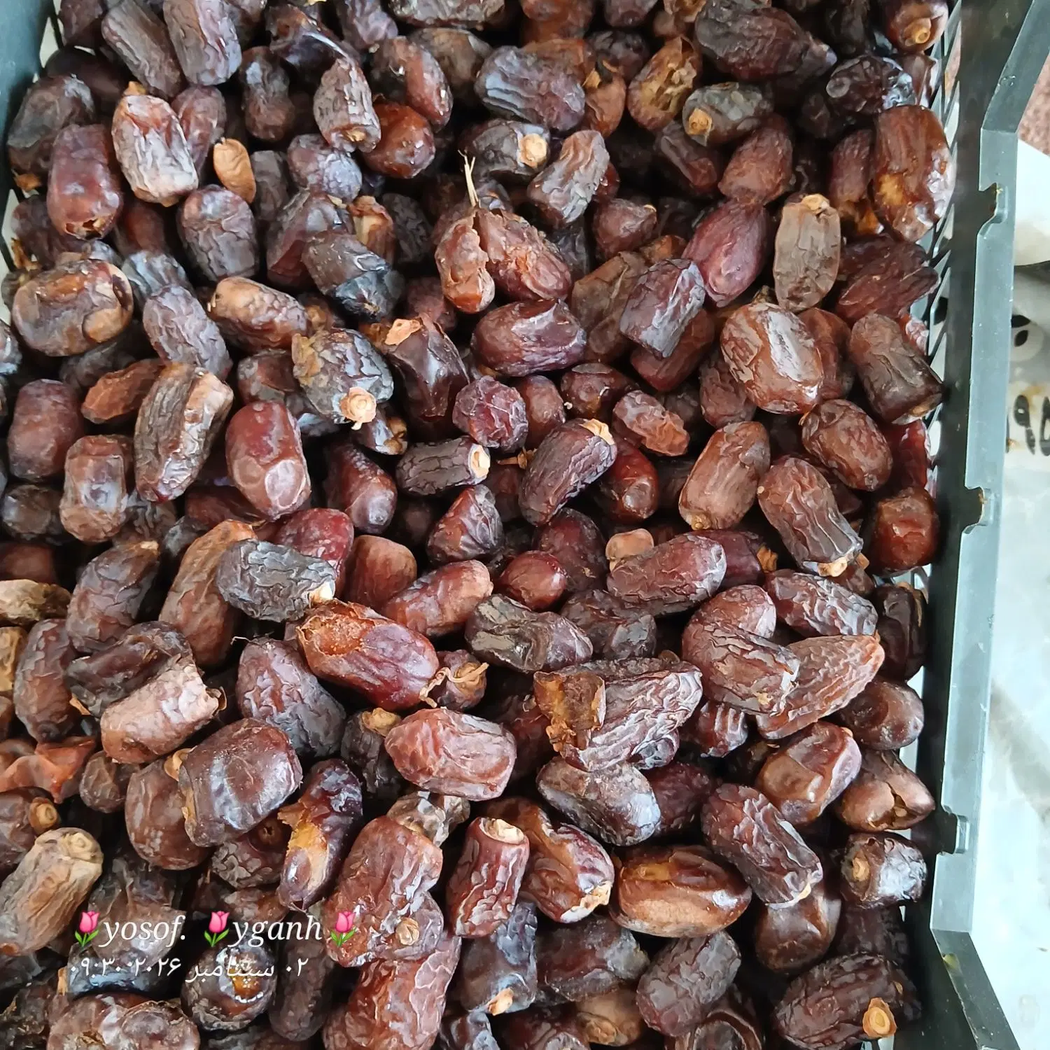 خرما|خوردنی و آشامیدنی|رفسنجان, |دیوار