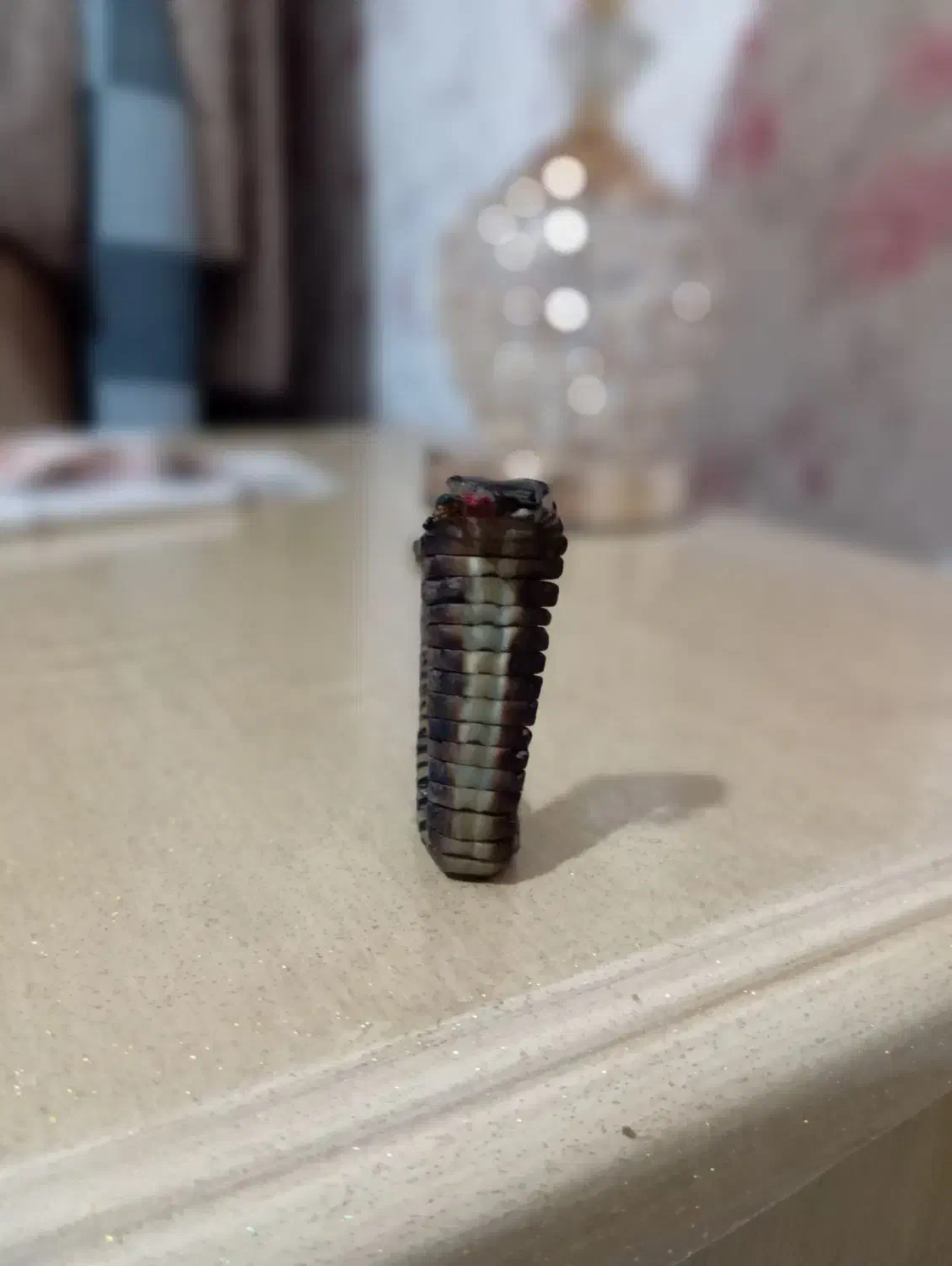 تسبیح هسته خرما|کلکسیون اشیاء عتیقه|اردبیل, |دیوار