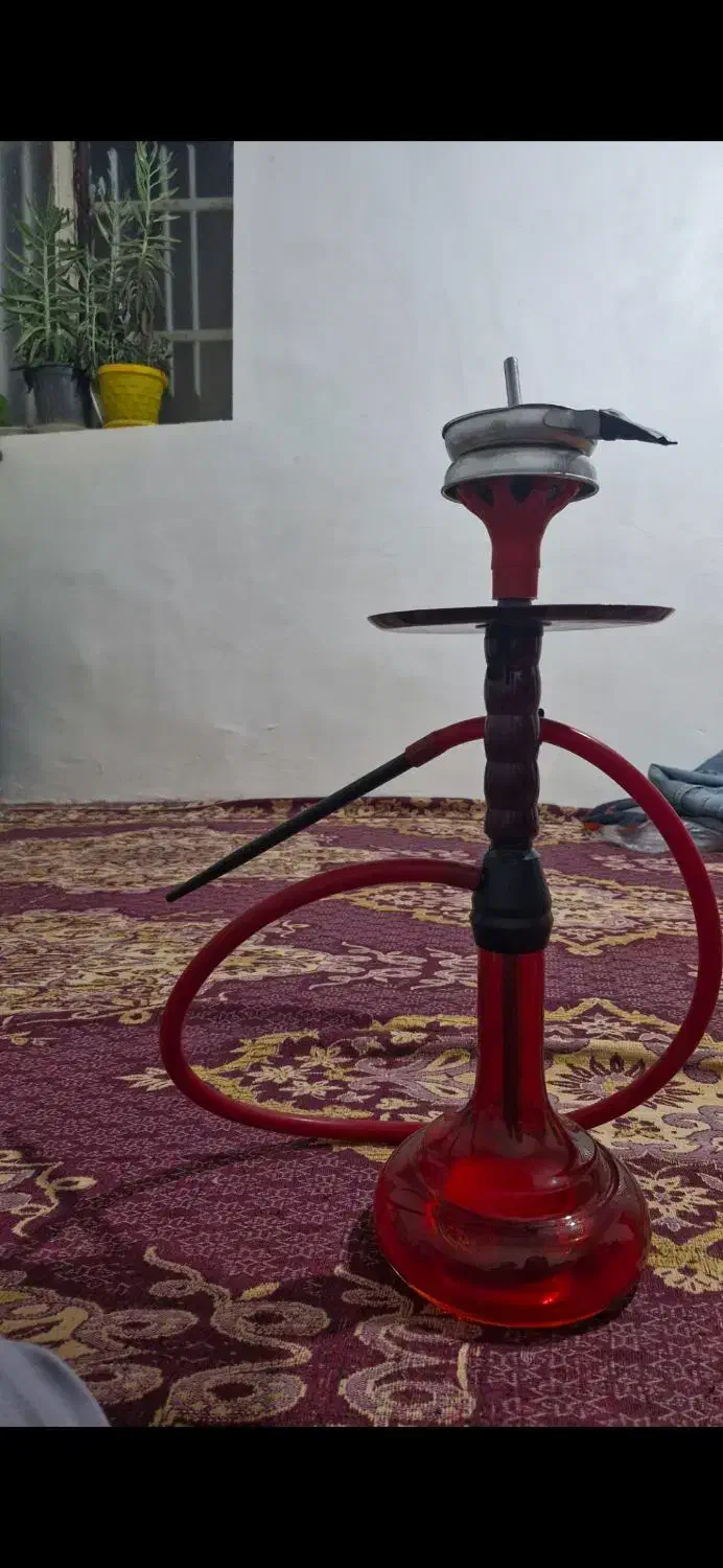 قلیون|کلکسیون و سرگرمی|ضیاء آباد, |دیوار