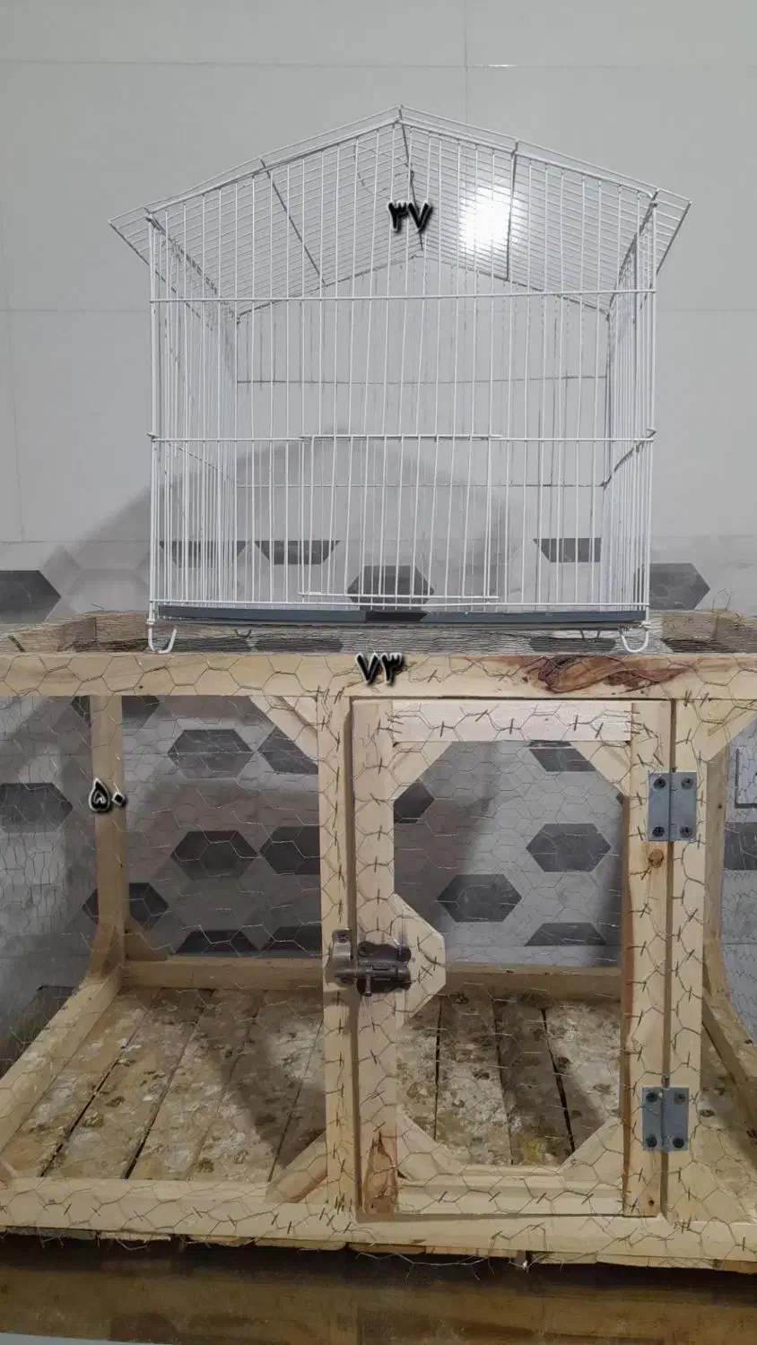 قفس|لوازم جانبی حیوانات|شیروان (خراسان), |دیوار