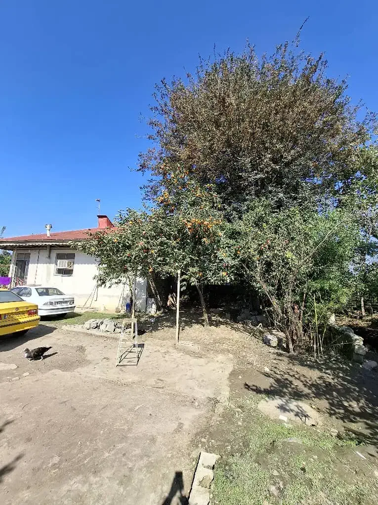 4700کتر خانه محوطه شالیزار سند تک برگ گیلان|فروش خانه و ویلا|احمدسرگوراب, |دیوار