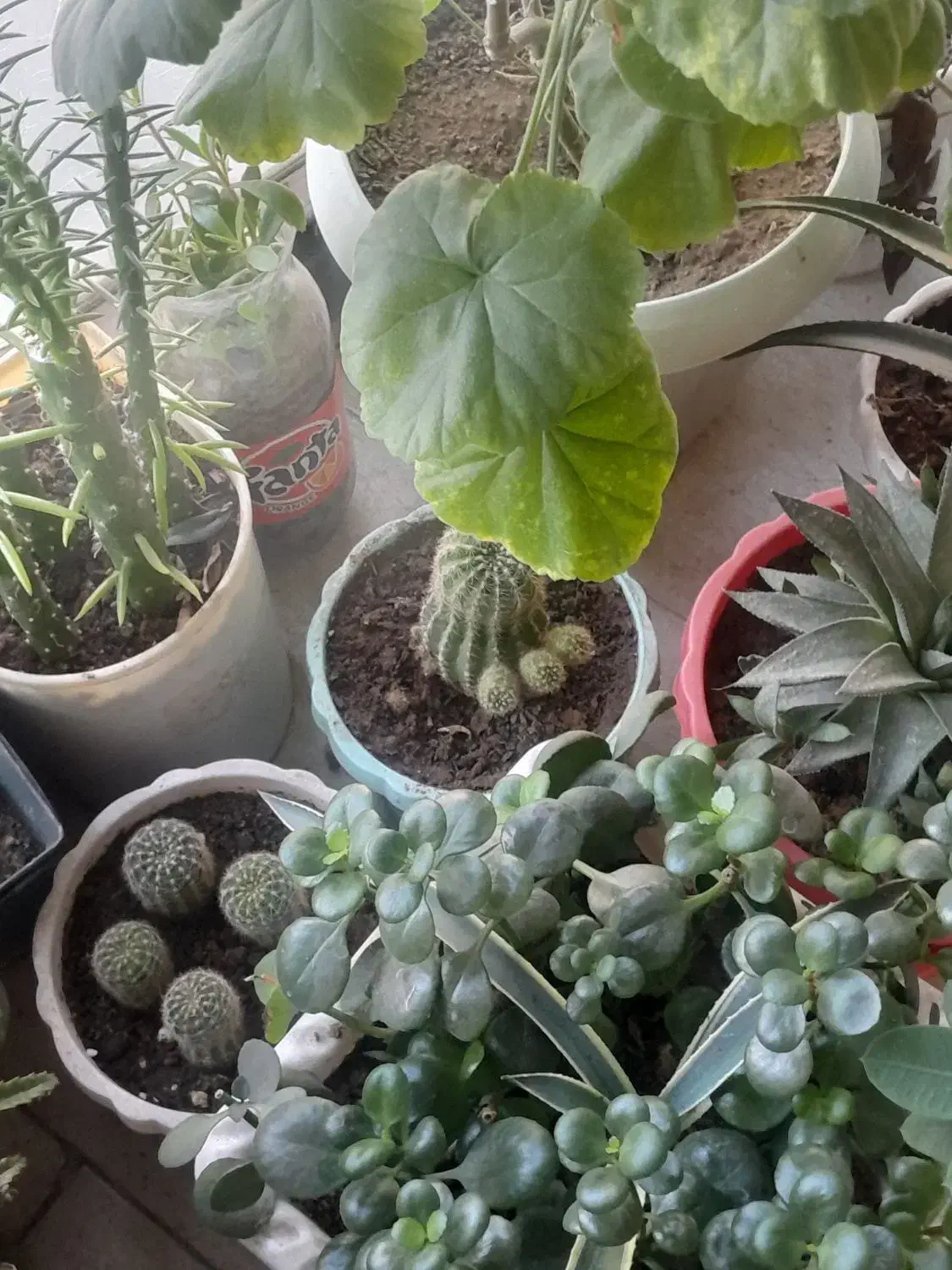 گلدان بزرگ سفالی عتیقه وجاسیگاری قدیمی|کلکسیون اشیاء عتیقه|زنجان, |دیوار