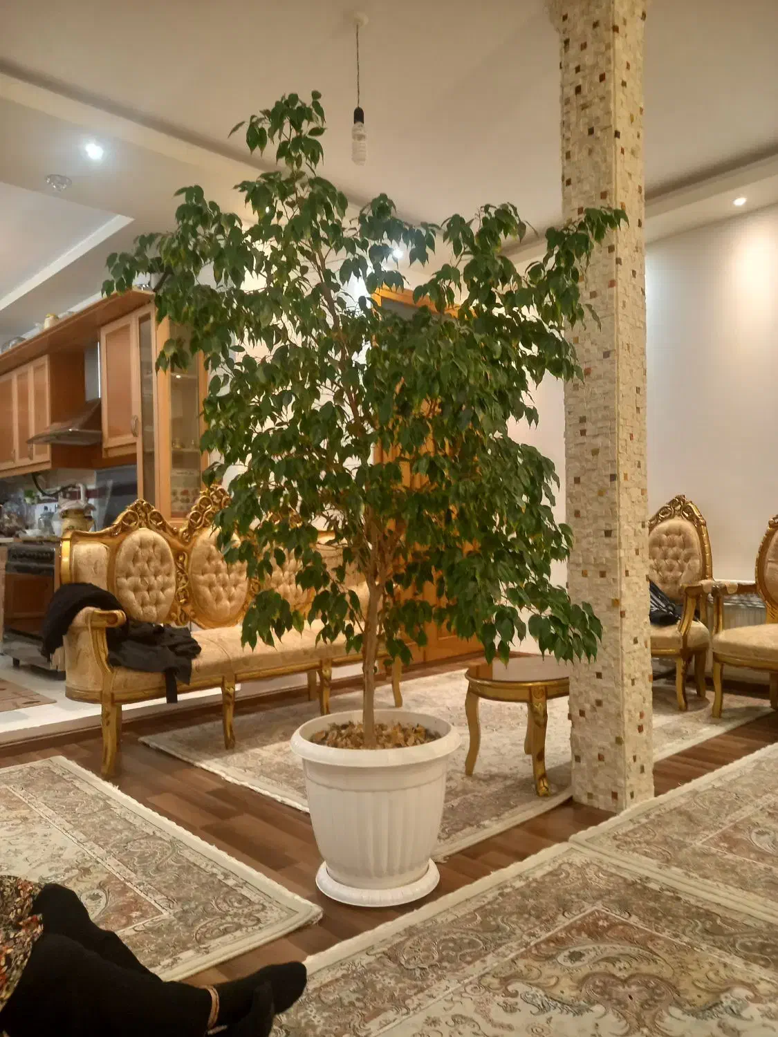 فروشی|گل و گیاه طبیعی|اردبیل, |دیوار