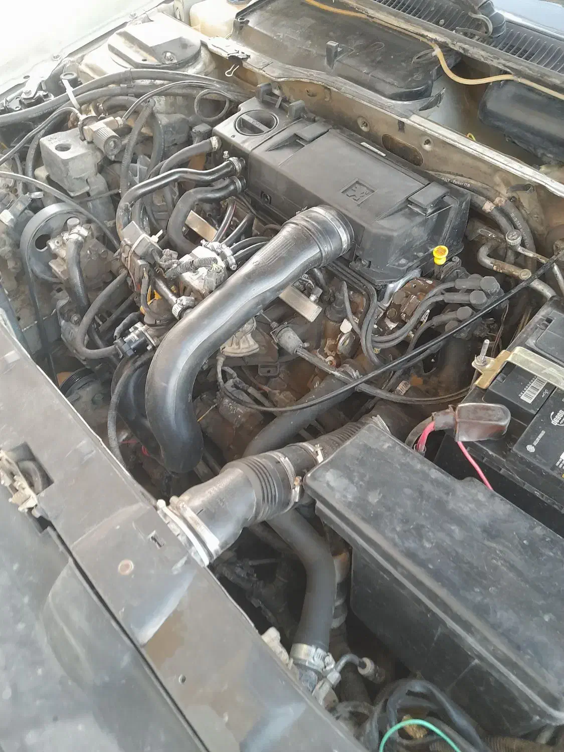 پژو ۴۹۵ دوگانه سوز شرکتی ۸۹|خودرو سواری و وانت|شیراز, قلات|دیوار